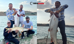 Fırat Nehri'nde 30 kiloluk turna balığı oltaya takıldı