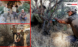 Birecik'te Yaban Hayatını Gözlemlemek İçin Fotokapan Kuruldu