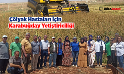 Şanlıurfa’da 314 Kadın Çiftçiye Karabuğday Yetiştiriciliği Eğitimi