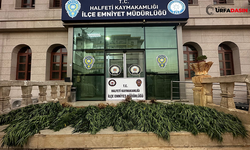 Halfeti’de Hint Keneviri Ele Geçirildi