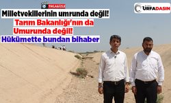 Şanlıurfa'da Trilyonların Harcandığı Bu Kanallara 20 Yıldır Su Verilmiyor!