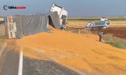 Siverek Hilvan Yolunda Mısır Yüklü Tırla Bir Başka Tır Çarpıştı:2 Yaralı