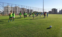 Türkiye'nin En Genç Nüfusuna Sahip Urfa'da, Kaç Futbol Tesisi Kaç Futbol Takımı Var?