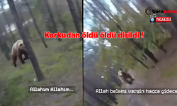 Ormanda Ayı İle Karşılaşan Bisiklet Sürücüsü Aklını Kaybedecekti