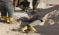 Şanlıurfa'da 10. Kattan Düşen İnşaat İşçisi Hayatını Kaybetti
