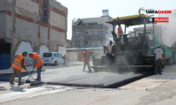 Urfa Kültür Ve Turizm Yolunda Asfalt Çalışması Başladı