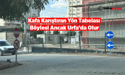 Urfa'da gören nereye gideceğini şaşırıyor !