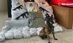 Şanlıurfa'da Uyuşturucu ve Silah Operasyonunda 1 Şüpheli Gözaltına Alındı