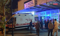 Halfeti'de Otomobilin Çarptığı Kişi Ağır Yaralandı
