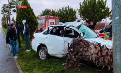 Şanlıurfa'da Otomobil Refüjdeki Ağaca Çarptı: 4 Yaralı