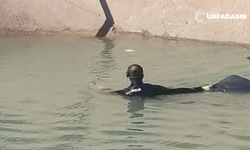 Şanlıurfa Mardin Sulama Kanalında Ceset Bulundu