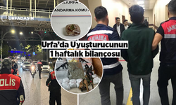 Şanlıurfa’da Uyuşturucudan Tutuklanan 24 Kişiden 22’si Torbacı