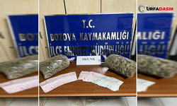 Bozova’da 2 Kilogram Uyuşturucu Ele Geçirildi: 2 Gözaltı
