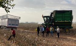 Şanlıurfa'da Çiftçilerin ÇKS Kayıtları İçin Personel Sahaya İndi