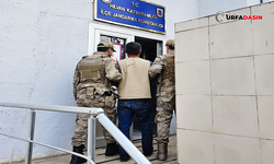 Şanlıurfa’da Firari Cinayet Şüphelisi Jandarma Ekiplerince Yakalandı