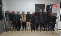 Şanlıurfa’da 133 Göçmen Yakalandı, 9 Organizatör Tutuklandı