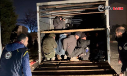 Urfa ve 19 İlde 74 Göçmen Kaçakçılığı Organizatörü İle Bin 510 Göçmen Yakalandı