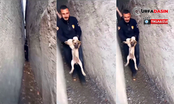 Şanlıurfa’da İki Duvarın Arasına Sıkışan Köpeği İtfaiye Kurtardı