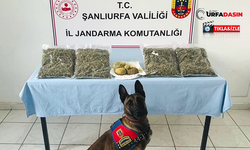 Şanlıurfa’da Jandarma Geçit Vermedi: 5 Kilogram Uyuşturucu ve Kaçak Sigara Ele Geçirildi