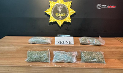 Şanlıurfa'da 2 Kilo 650 Gram Uyuşturucu Ele Geçirildi: 1 Gözaltı