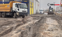 Viranşehir Belediyesi, Yeni Sanayi Sitesi’nde Yolları Yeniliyor