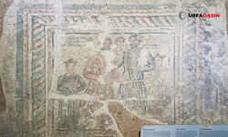 Şanlıurfa'nın Bilinmeyen Tarihi: Barhadad Mozaiği