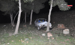 Ceylanpınar'da Otomobil Şarampole Devrildi: 3 Yaralı