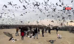 Gazze'deki çocukların özgürlüğü için binlerce güvercin gökyüzüne bırakıldı