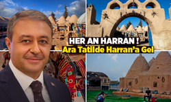 Şanlıurfa Valisi Hasan Şıldak'tan Ara Tatil İçin Harran Daveti