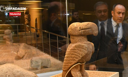 Şanlıurfa'da selin vurduğu müze 11 ay sonra yeniden kapılarını açtı