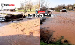 Viranşehir'de sel sularının dehşeti gün ağarınca ortaya çıktı!