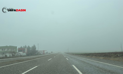 Şanlıurfa - Adıyaman kara yolunda yoğun sis