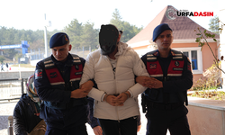 Şanlıurfa'nın Yer Aldığı Operasyonda Suç Örgütü Lideri Tutuklandı
