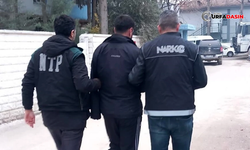Akçakale’de Dolandırıcılık Firarisi İle Uyuşturucu Satıcısı Yakalandı