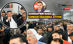 MHP Şanlıurfa Milletvekili İbrahim Özyavuz: Harran İstikrar Şehridir
