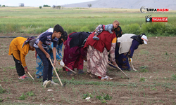 HÜDA PAR Mevsimlik Tarım İşçisi Ailelerinin Mağduriyetlerini Gündeme Getirdi