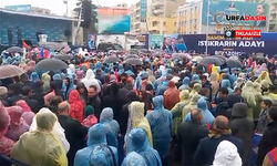 Urfa'da Erdoğan Sevgisi Yağmur Dinlemiyor
