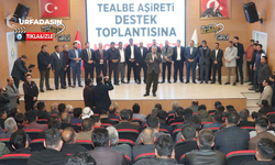 Şanlıurfa’da Tealbe Aşiretinden Ak Parti’ye Tam Destek