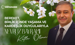 Vali Hasan Şıldak Nevruz Bayramı Mesajı