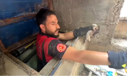 Havalandırma Boşluğuna Düşen Kediyi İtfaiye Ekipleri Kurtardı