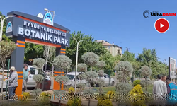 Eyyübiye Batıkent TOKİ Mahallesi Botanik Park Açılışa Hazırlanıyor