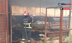 Şanlıurfa’da Büyükbaş Hayvan Çiftliğinde Çıkan Yangın Söndürüldü