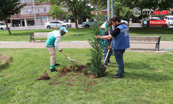 Haliliye Belediyesi Peyzaj Çalışması İle Parkları Güzelleştiriyor