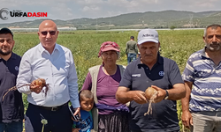 Mahmut Tanal, Mevsimlik Tarım İşçilerinin Yevmiyeyisini Gündeme Taşıdı