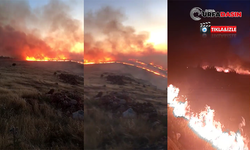 Birecik'te Büyük Yangın, Fıstık Bahçeleri ve Ekili Arazilere Sıçradı