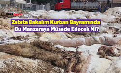 Haşimiye Meydanı, Kurban Bayramında Deri Satış Meydanı Oluyor