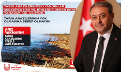 Vali Şıldak, Diyarbakır ve Mardin’deki Yangını Hatırlatarak Uyardı