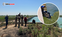 Şanlıurfa'da Sulama Kanalında Kadın Cesedi Bulundu