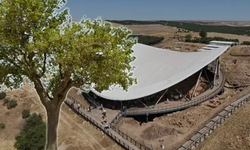 Göbeklitepe'den yükselen dut ağacının sırrı