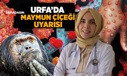 Enfeksiyon Hastalıkları Uzmanı Yüksekkaya'dan Maymun Çiçeği Uyarısı